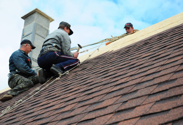 Best Commercial Roofing Services  in Loretto, TN